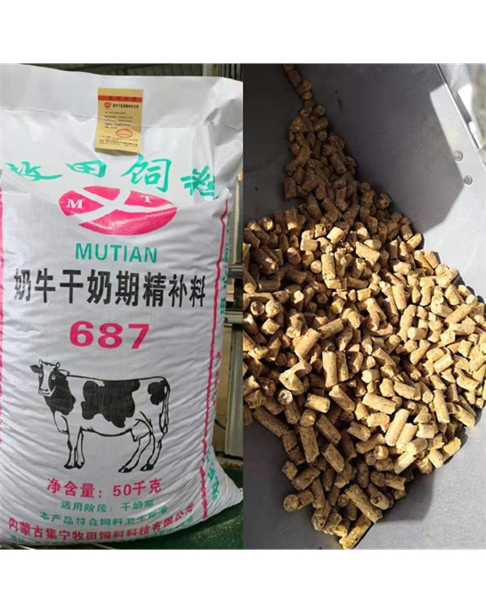 奶牛干奶期精補料687